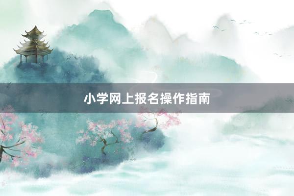 小学网上报名操作指南